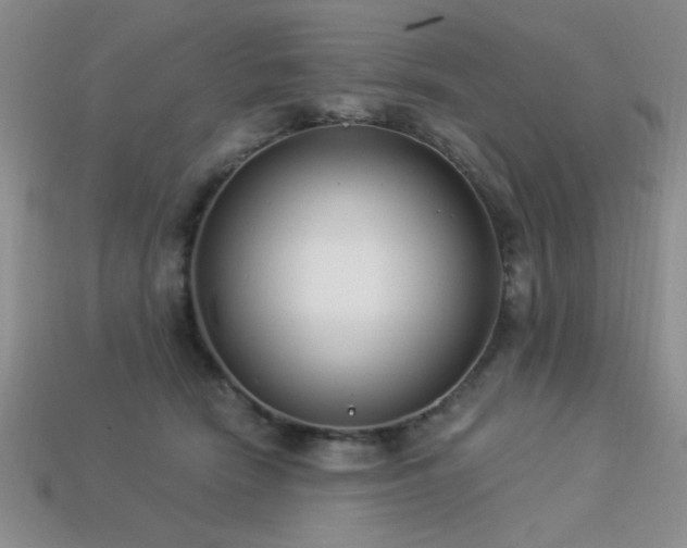 X0000113320466200909141359