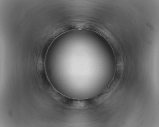 X0000113320469200909141359