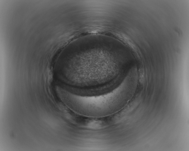 X0000113320471200909141359