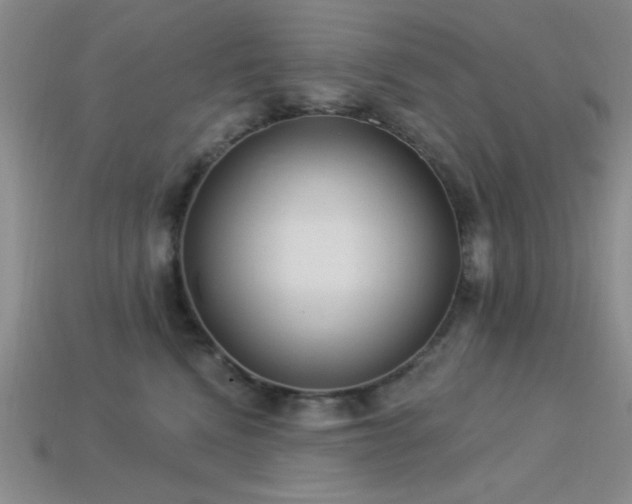 X0000113320472200909141359