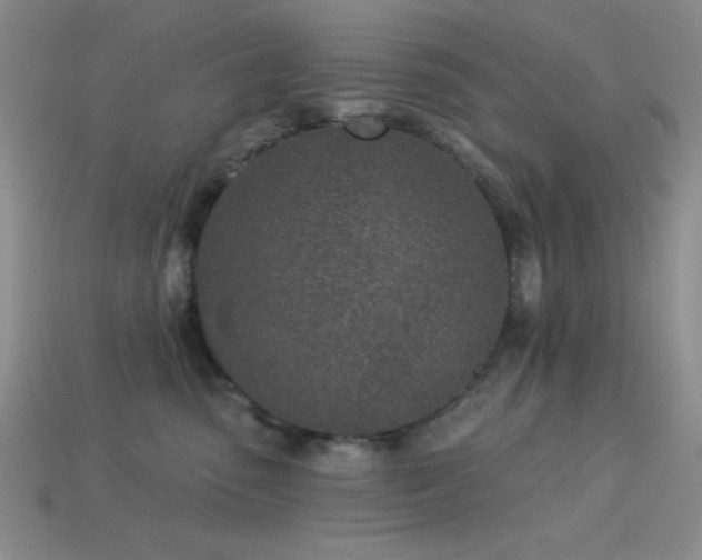 X0000113320475200909141359