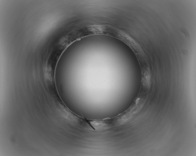 X0000113320477200909141359