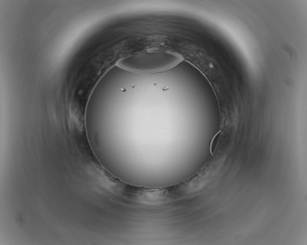 X0000113320479200909141359