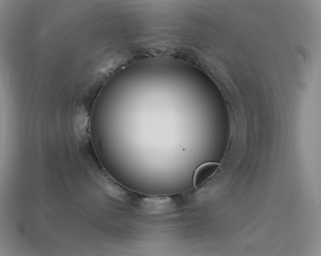 X0000113320480200909141359