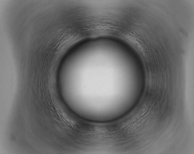 X0000113320481200909141358