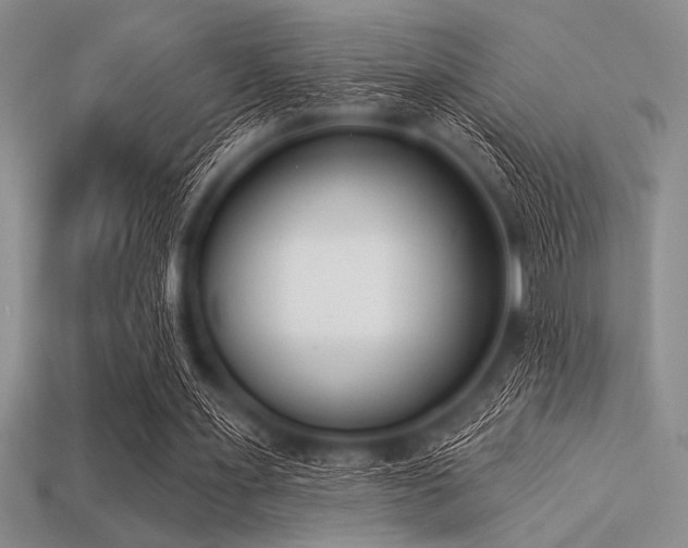 X0000113320483200909141358