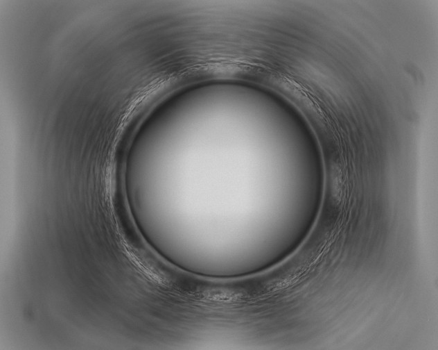 X0000113320486200909141358