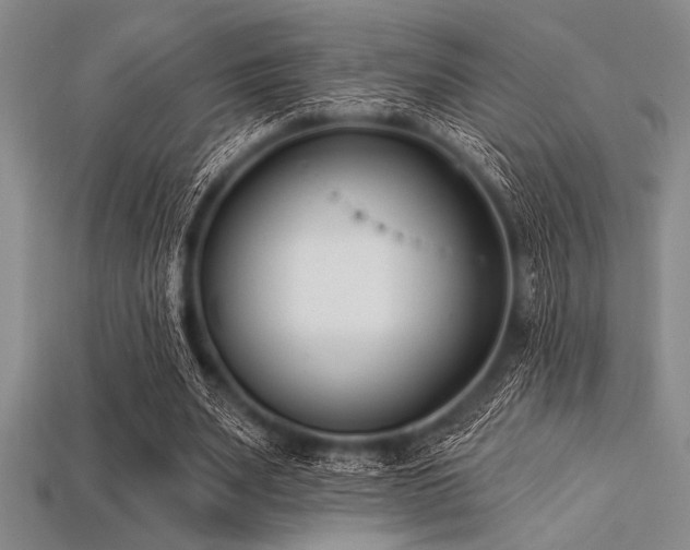 X0000113320487200909141358