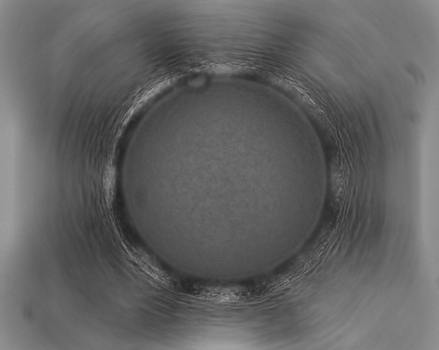 X0000113320488200909141358