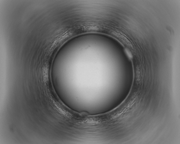 X0000113320489200909141358