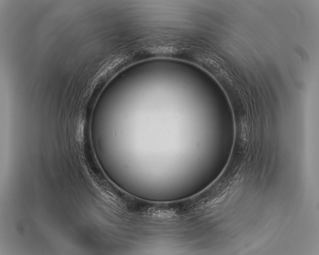 X0000113320491200909141358