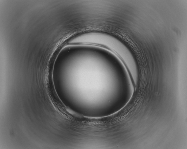 X0000113320492200909141358