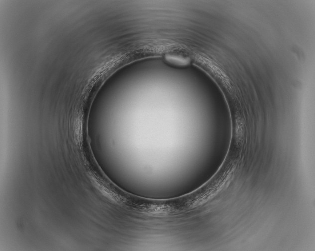 X0000113320493200909141358