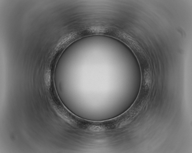 X0000113320494200909141358