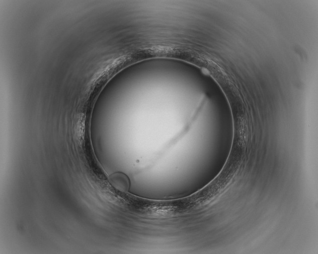 X0000113320495200909141358