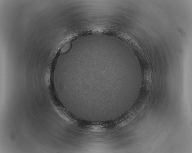 X0000113320496200909141358