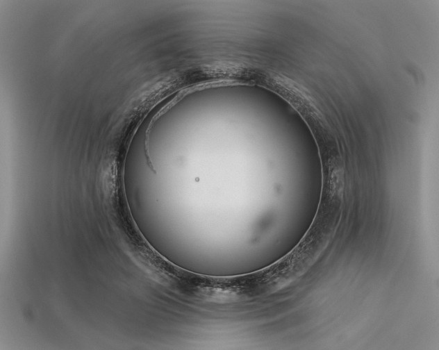 X0000113320498200909141358