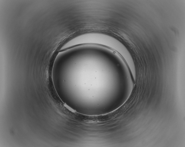 X0000113320500200909141358