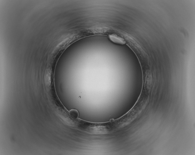 X0000113320501200909141358