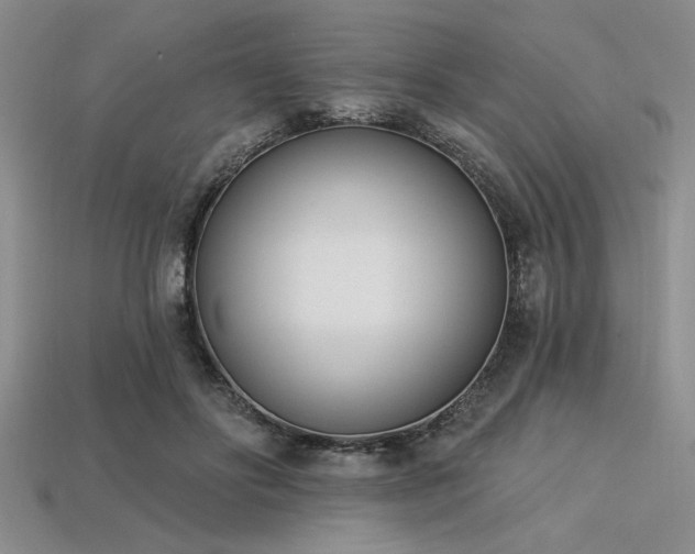 X0000113320502200909141358