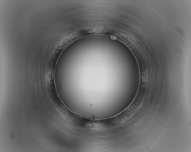 X0000113320503200909141358