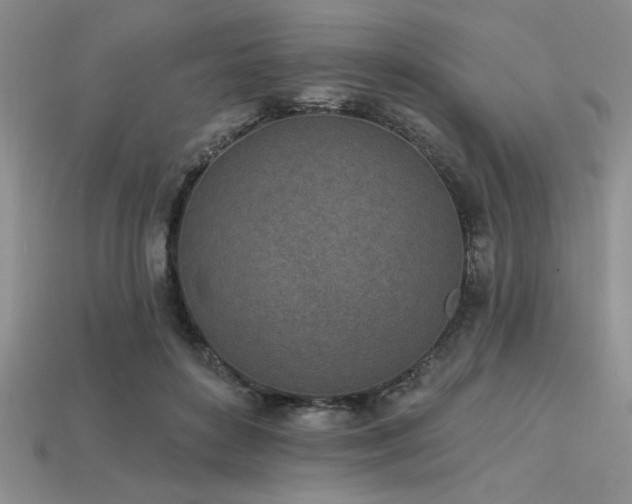 X0000113320504200909141358