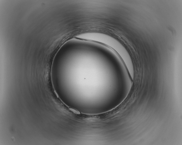 X0000113320505200909141358