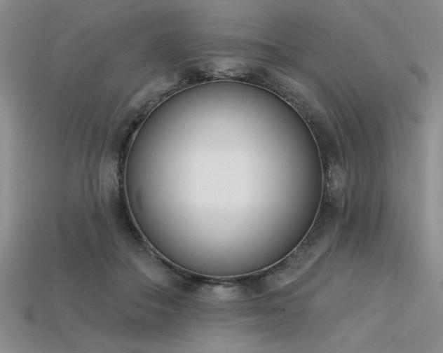 X0000113320506200909141358