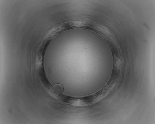 X0000113320507200909141358