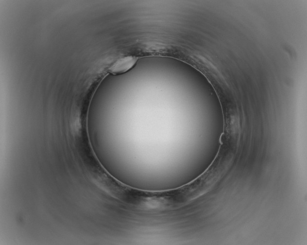 X0000113320508200909141358