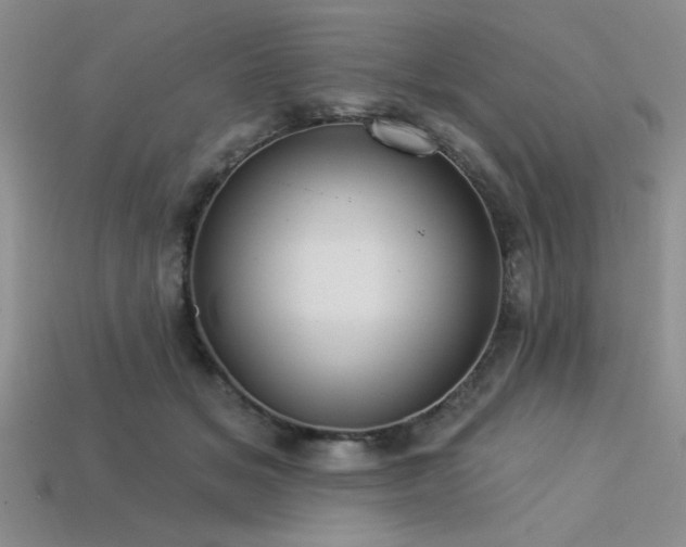 X0000113320509200909141358