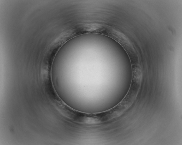 X0000113320510200909141358