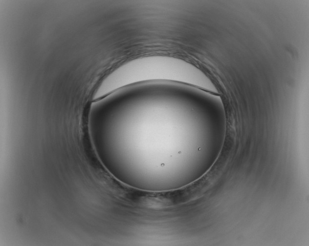 X0000113320512200909141358