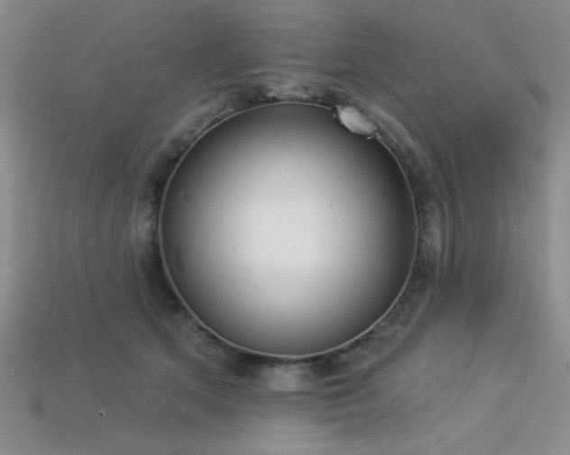 X0000113320513200909141358