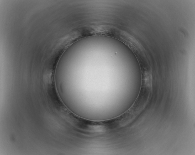 X0000113320514200909141358