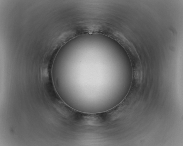 X0000113320516200909141358