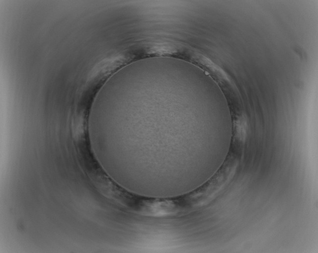 X0000113320517200909141358