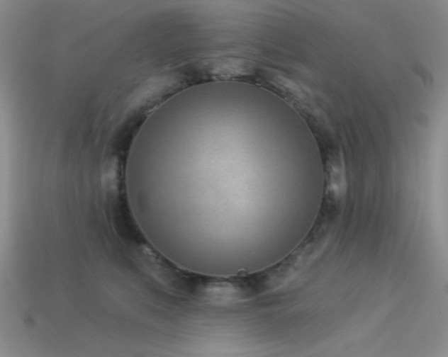 X0000113320519200909141358