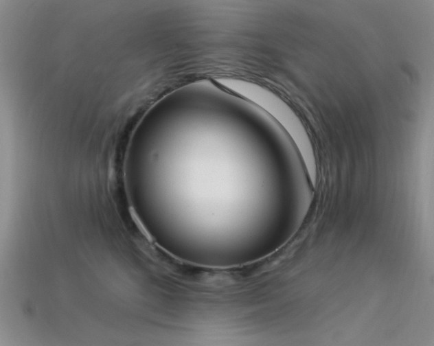 X0000113320520200909141358