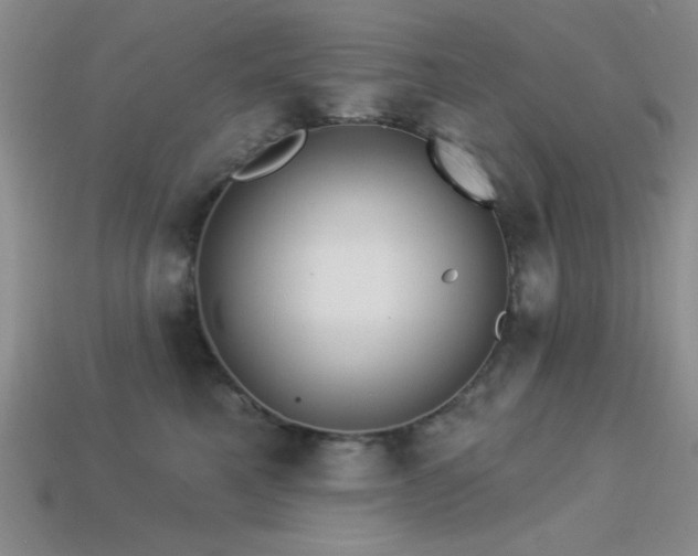 X0000113320521200909141358