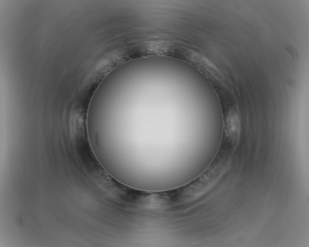 X0000113320522200909141358