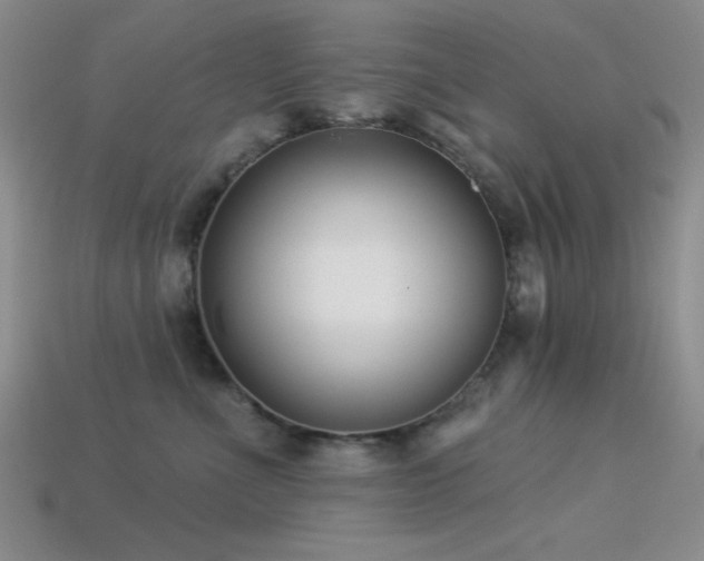 X0000113320523200909141358