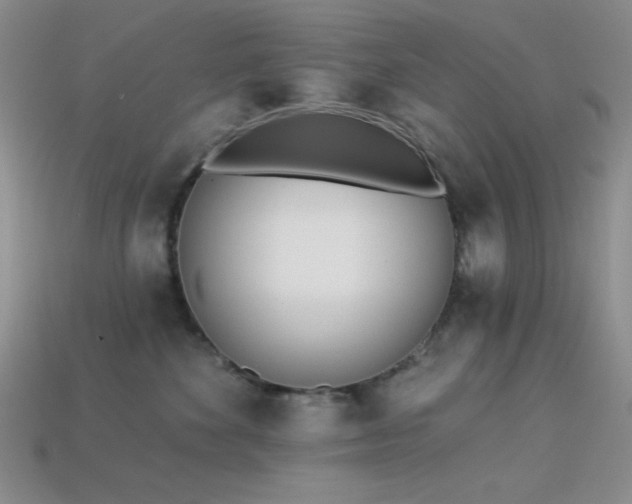 X0000113320524200909141358