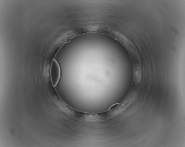 X0000113320525200909141358