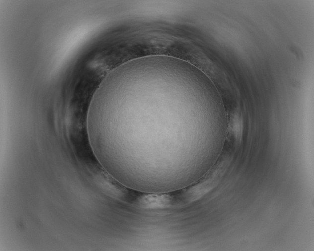 X0000113320526200909141358