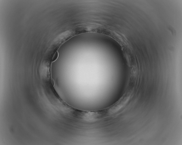 X0000113320527200909141358