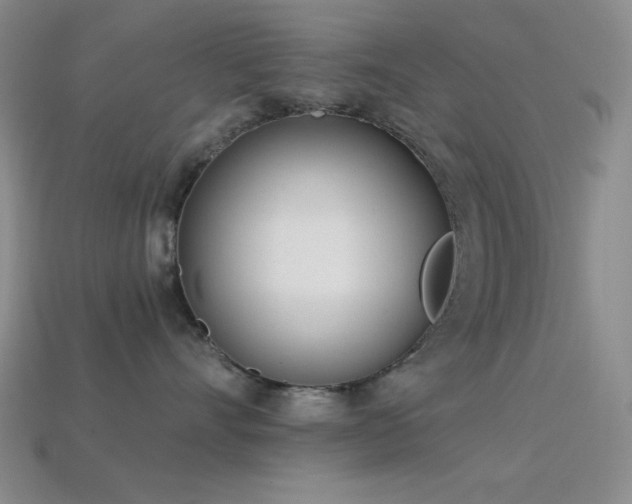 X0000113320528200909141358