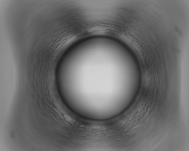 X0000113320529200909141357