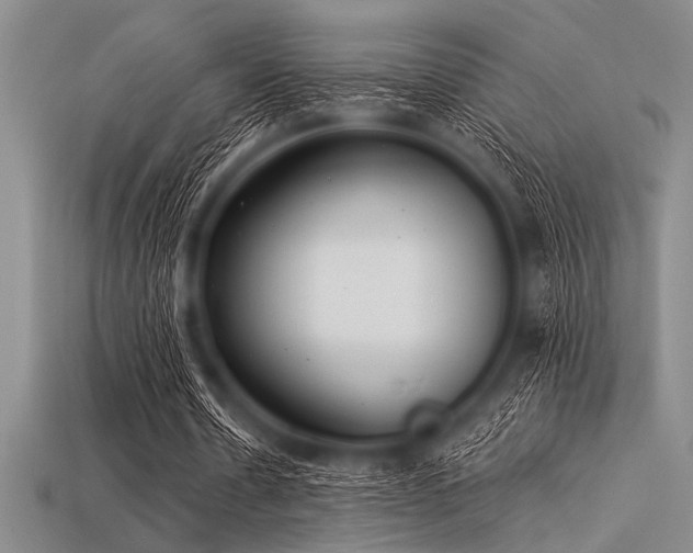 X0000113320530200909141357