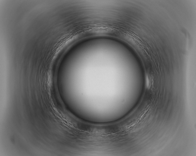 X0000113320531200909141357